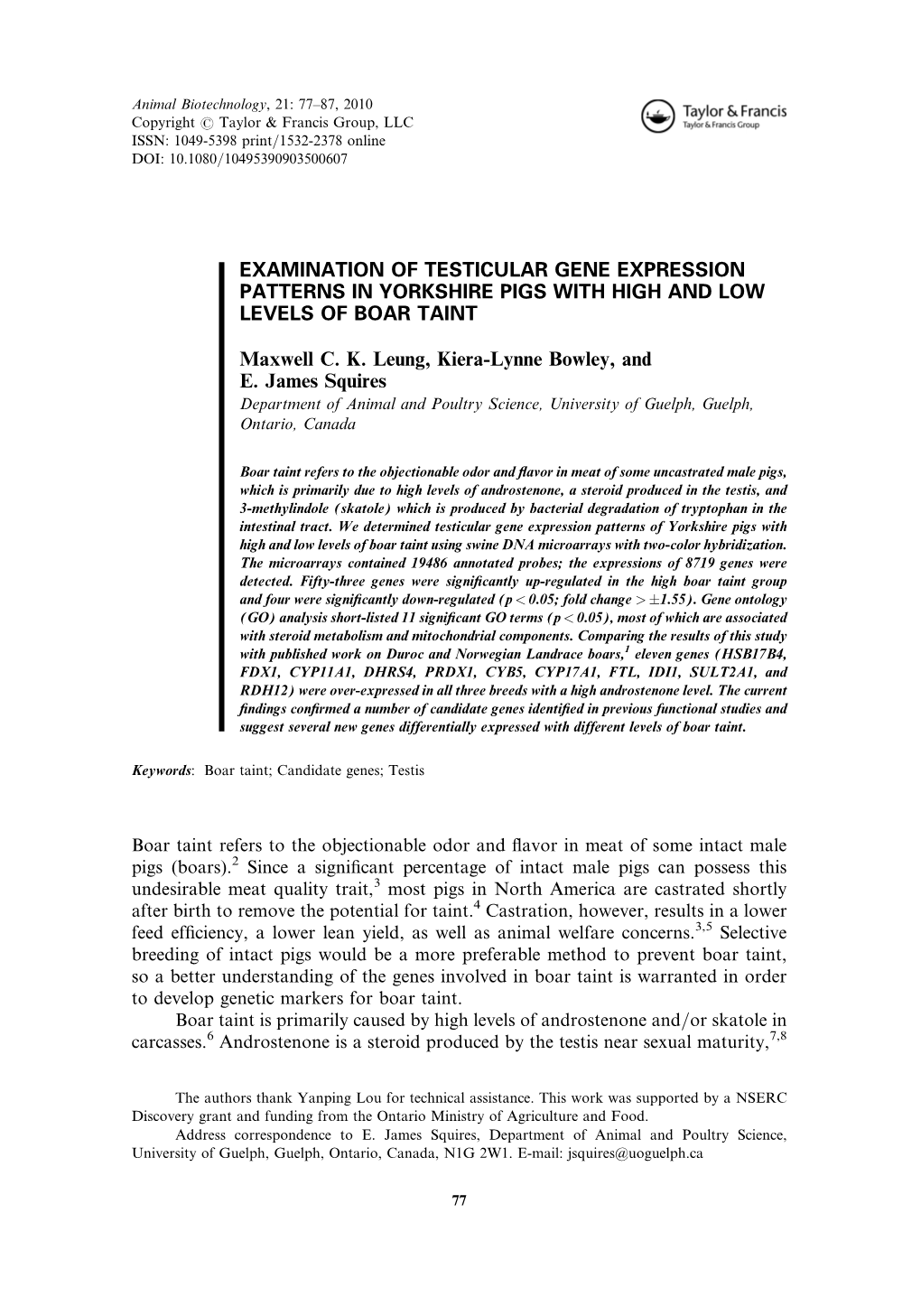 Examination of Testicular Gene Expression Patterns in Yorkshire Pigs with High and Low Levels of Boar Taint