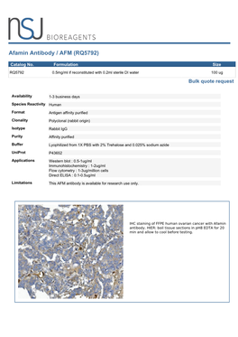 Afamin Antibody / AFM (RQ5792)