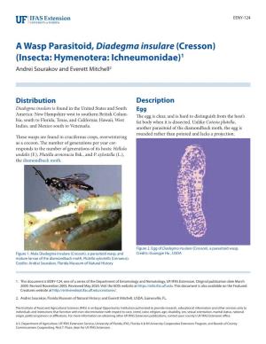 A Wasp Parasitoid, Diadegma Insulare (Cresson) (Insecta: Hymenotera: Ichneumonidae)1 Andrei Sourakov and Everett Mitchell2