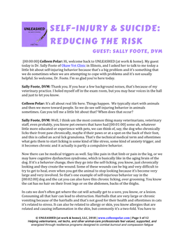 Self-Injury & Suicide: Reducing the Risk