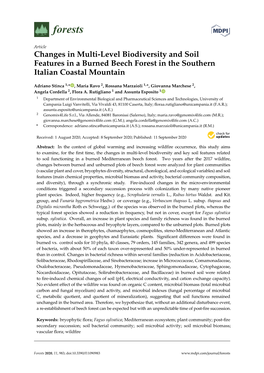 Changes in Multi-Level Biodiversity and Soil Features in a Burned Beech Forest in the Southern Italian Coastal Mountain