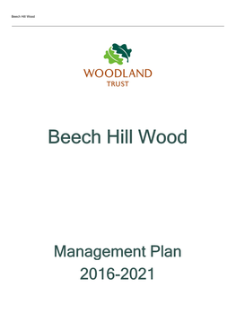 Beech Hill Wood