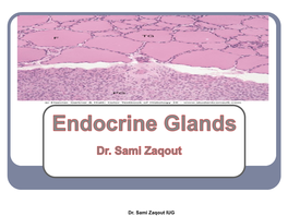 Exocrine Vs. Endocrine Glands