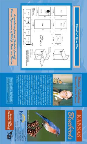 Bluebird Brochure:Bluebird Brochure