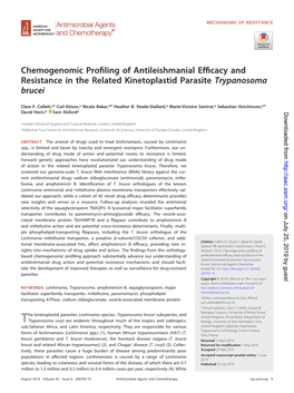 Chemogenomic Profiling of Antileishmanial Efficacy And