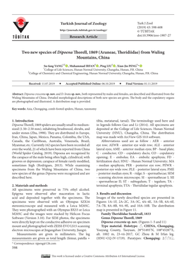 Two New Species of Dipoena Thorell, 1869 (Araneae, Theridiidae) from Wuling Mountains, China