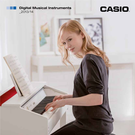 Digital Musical Instruments 2013/14 Philosophy