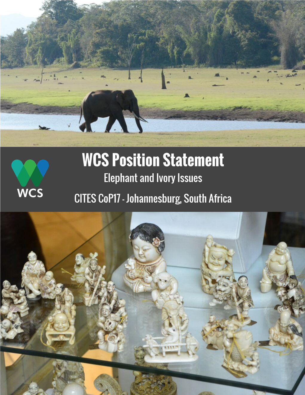 WCS Position Statement on Elephant and Ivory Issues