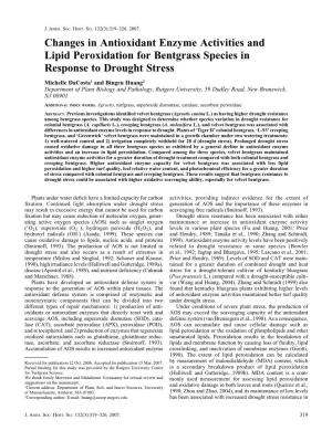 Changes in Antioxidant Enzyme Activities and Lipid Peroxidation for Bentgrass Species in Response to Drought Stress