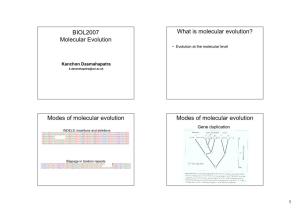 Molecular Evolution? Molecular Evolution • Evolution at the Molecular Level
