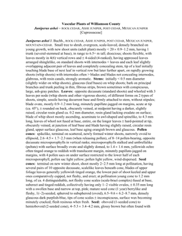 Vascular Plants of Williamson County Juniperus Ashei − ROCK CEDAR, ASHE JUNIPER, POST CEDAR, MEXICAN JUNIPER [Cupressaceae]