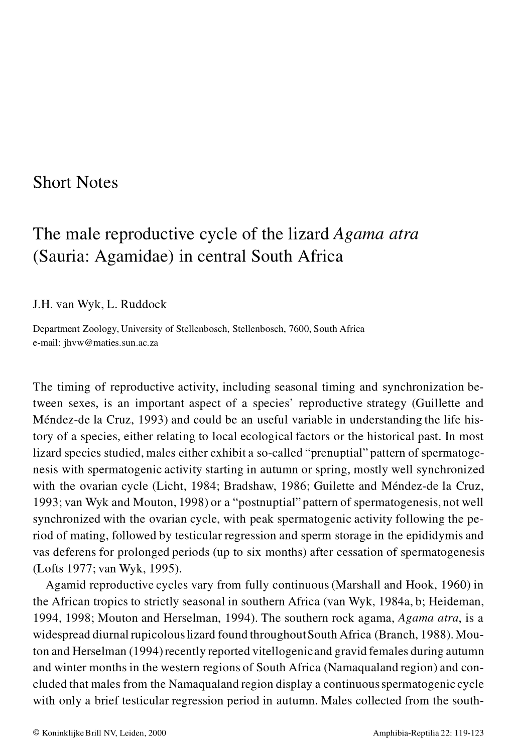 Short Notes the Male Reproductive Cycle of the Lizard Agama Atra