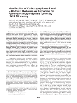 Identification of Carboxypeptidase E and -Glutamyl Hydrolase As