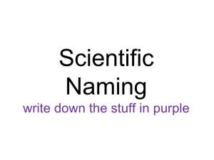 Scientific Naming Write Down the Stuff in Purple History of Ecology and Natural History
