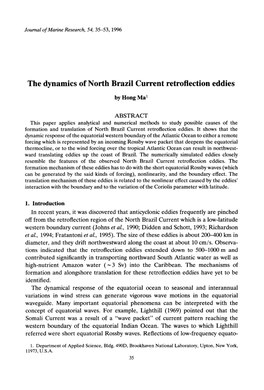 The Dynamics of North Brazil Current Retroflection Eddies