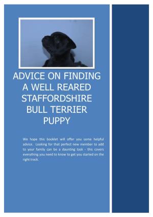 Advice on Finding a Well Reared Staffordshire Bull Terrier Puppy