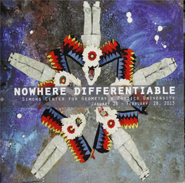 Nowhere Differentiable
