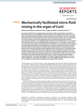 Mechanically Facilitated Micro-Fluid Mixing in the Organ of Corti