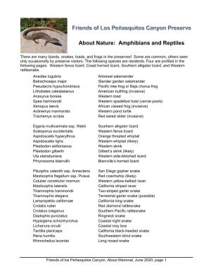 About Nature: Amphibians and Reptiles