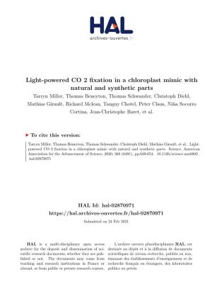 Light-Powered CO 2 Fixation in a Chloroplast Mimic with Natural And