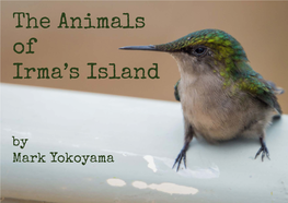 The Animals of Irma's Island