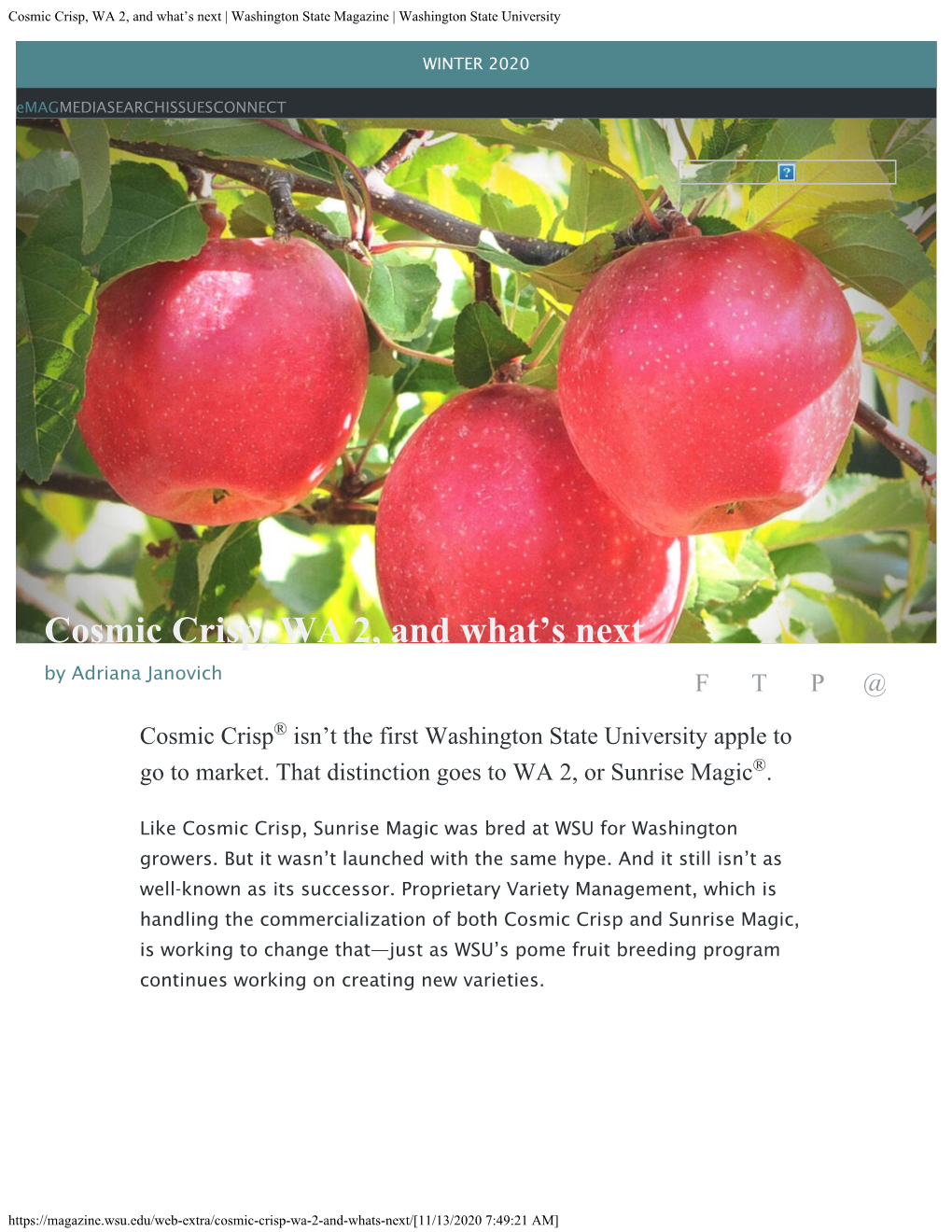 Cosmic Crisp, WA 2, and What's Next | Washington State Magazine