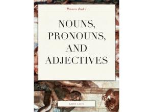 Nouns, Pronouns, and Adjectives