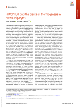 PHOSPHO1 Puts the Breaks on Thermogenesis in Brown Adipocytes COMMENTARY Christy M