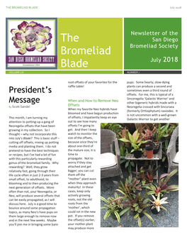 THE BROMELIAD BLADE July 2018