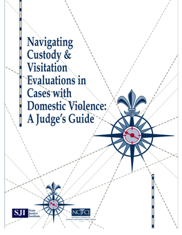 Navigating Custody & Visitation Evaluations in Cases with Domestic
