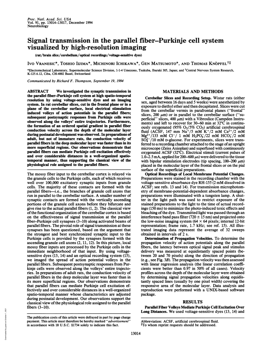 Signal Transmission in the Parallel Fiber-Purkinje Cell System Visualized