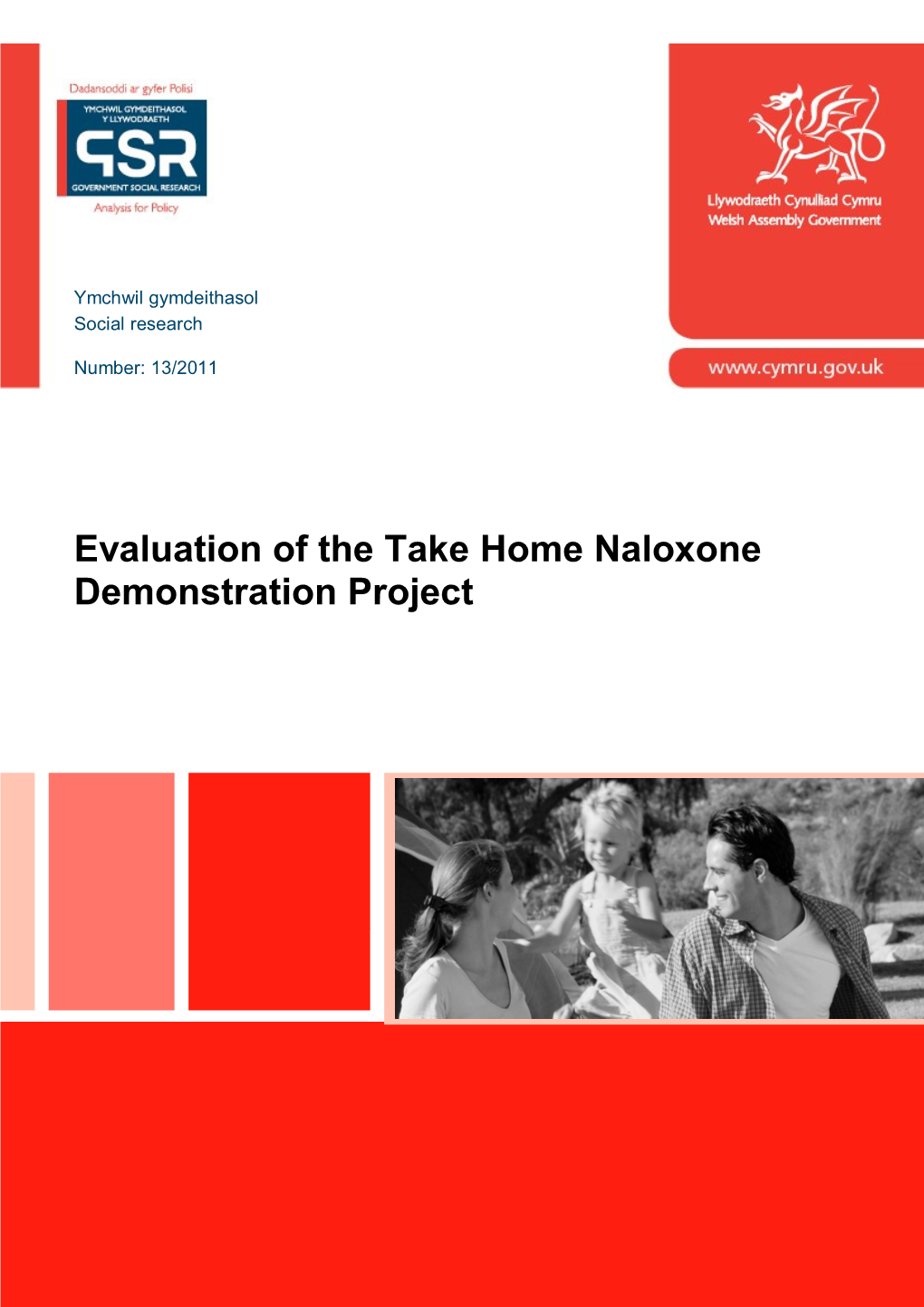 Evaluation of the Take Home Naloxone Demonstration Project , File Type