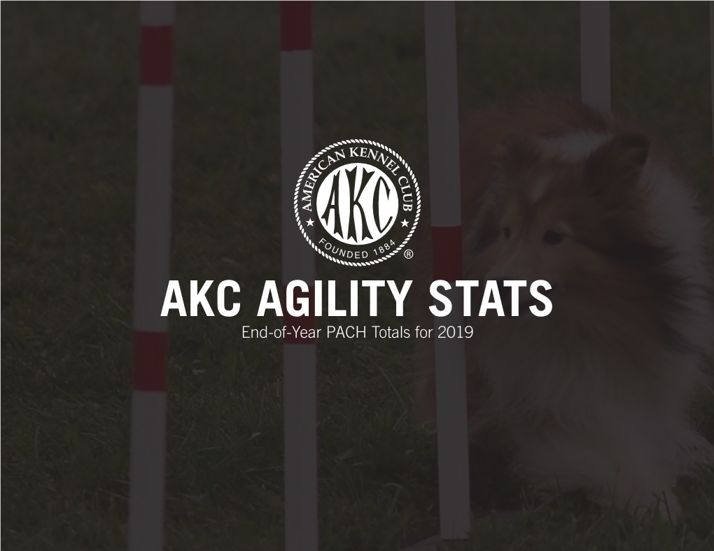 AKC AGILITY STATS End-Of-Year PACH Totals for 2019 #1 PACH Dog - Radiance END-OF-YEAR RANKINGS from the PREFERRED CLASS