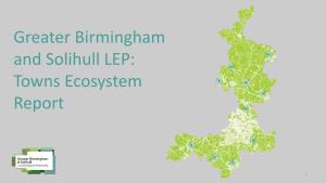 Greater Birmingham and Solihull LEP: Towns Ecosystem Report
