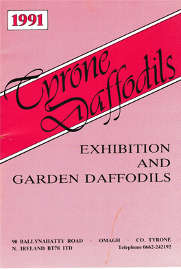 Tyrone Daffodils, 1991