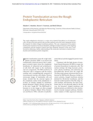 Protein Translocation Across the Rough Endoplasmic Reticulum