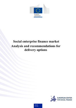 Social Enterprise Finance Market Analysis and Recommendations for Delivery Options