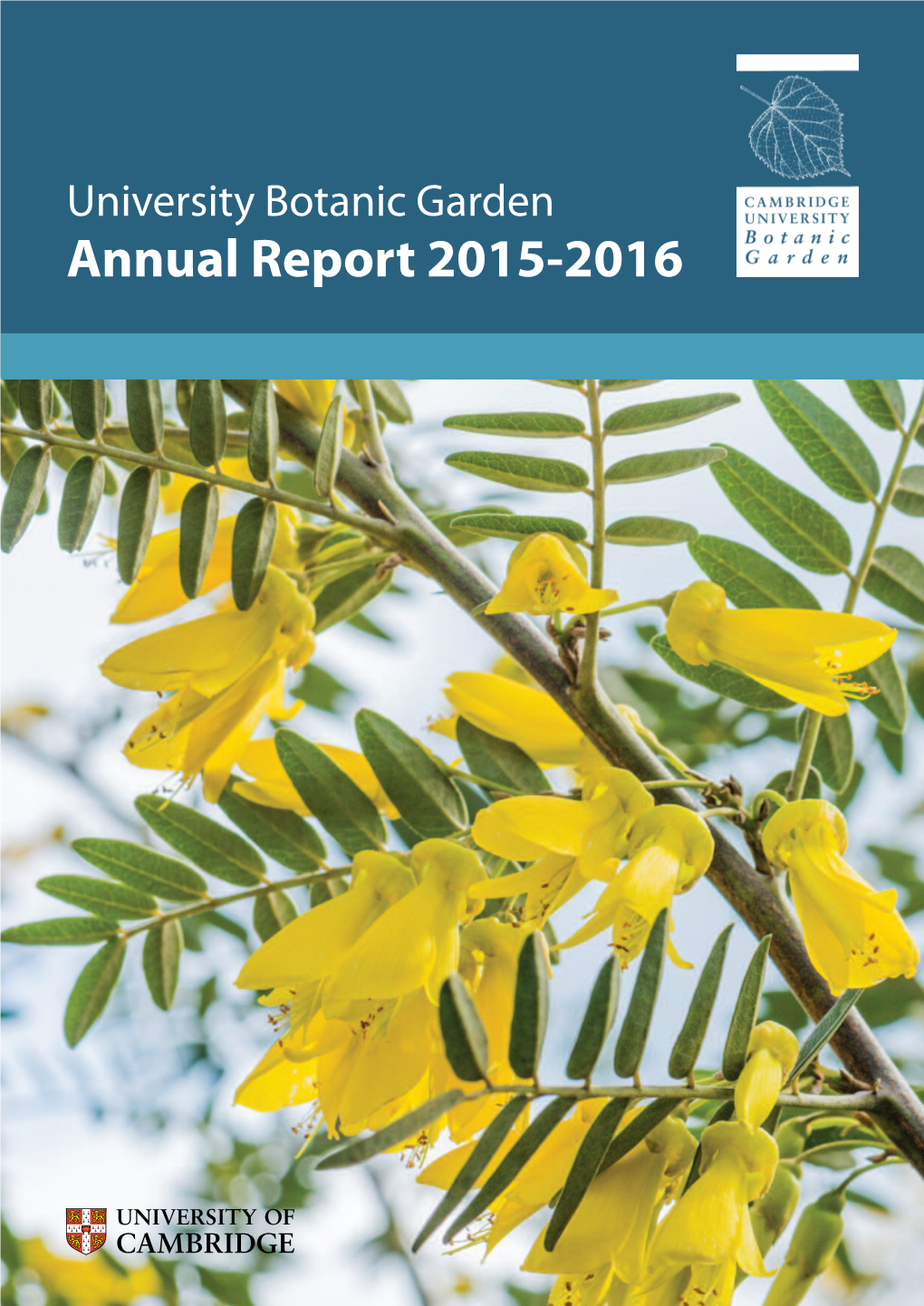 Annual Report 2015-2016 Director’S Report