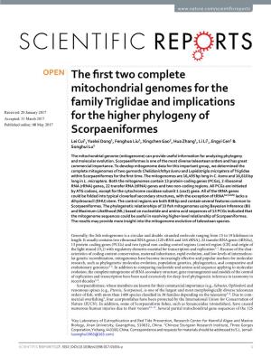 The First Two Complete Mitochondrial Genomes for the Family Triglidae