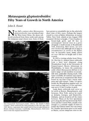 Metasequoia Glyptostroboides: Fifty Years of Growth in North America John E