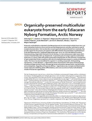Organically-Preserved Multicellular Eukaryote from the Early Ediacaran Nyborg Formation, Arctic Norway Received: 30 November 2018 Heda Agić 1,2, Anette E