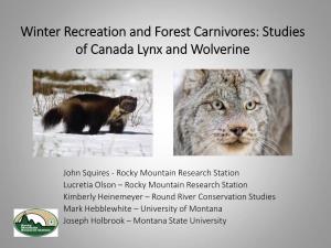 Winter Recreation and Forest Carnivores: Studies of Canada Lynx and Wolverine