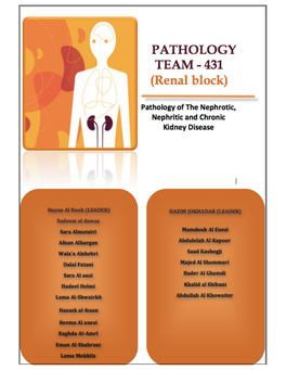 Nephrotic Nephritic Syndrome (1)