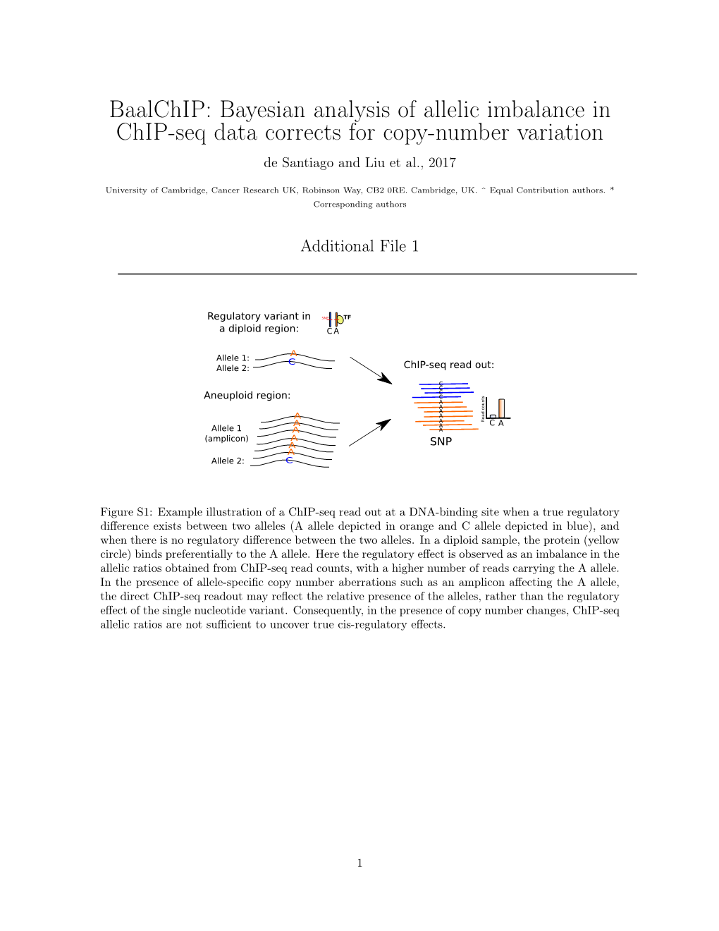 Bayesian Analysis of Allelic Imbalance in Chip-Seq Data Corrects for Copy-Number Variation De Santiago and Liu Et Al., 2017