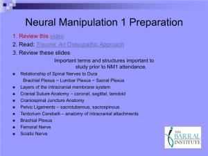 Neural Manipulation 1 Preparation 1