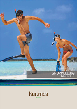 Snorkelling.Pdf