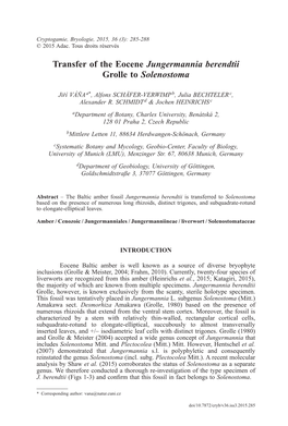 Transfer of the Eocene Jungermannia Berendtii Grolle to Solenostoma