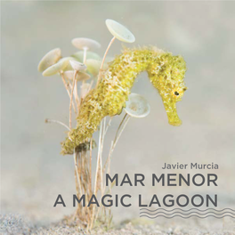 Mar Menor a Magic Lagoon Credits
