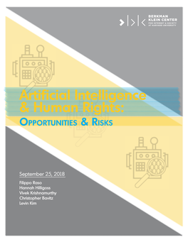 Artificial Intelligence & Human Rights Opportunities & Risks