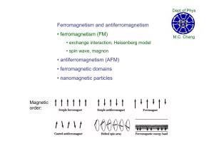 (FM) • Antiferromagnetism (AFM) • Ferromagnetic Domains • Nanomag